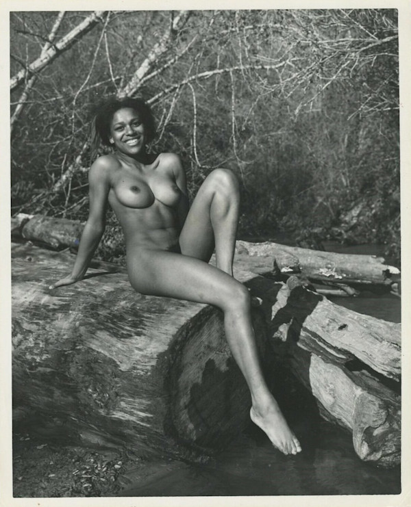 Pinup #33 by Unknown