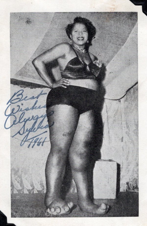Sylvia Porter by Unknown