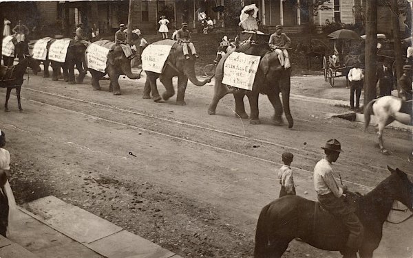 Circus Parade Elephants with Advertising Signs by Unknown