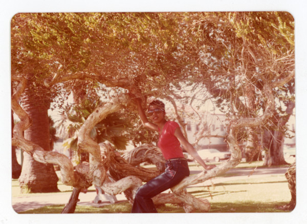 Woman sitting in a tree by Unknown