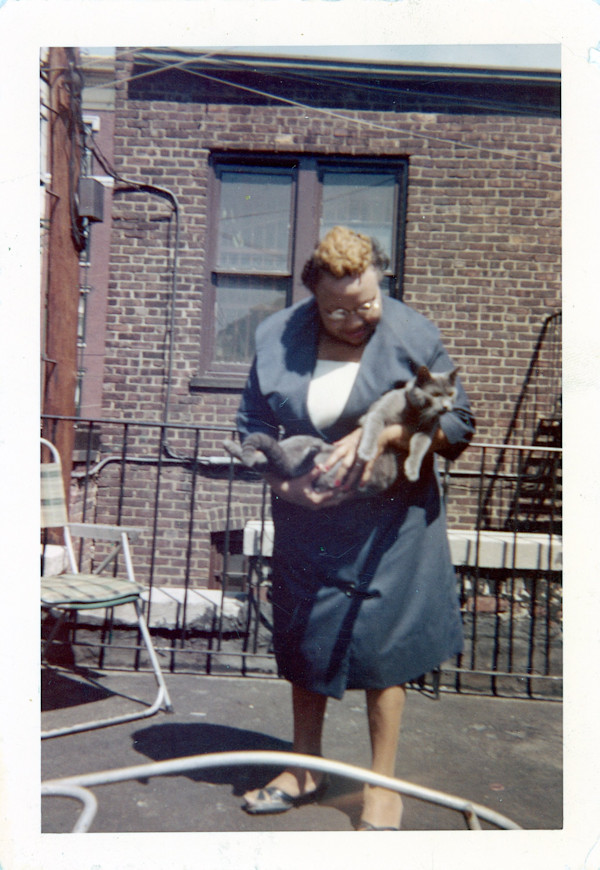 Woman holding cat by Unknown