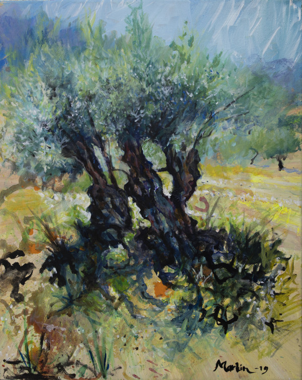 Olive Trees by Martin Spang Olsen