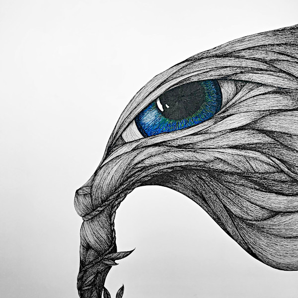 Birth by Katherine Filice, Image 1.
