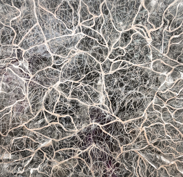 A Memory of Everything by Katherine Filice