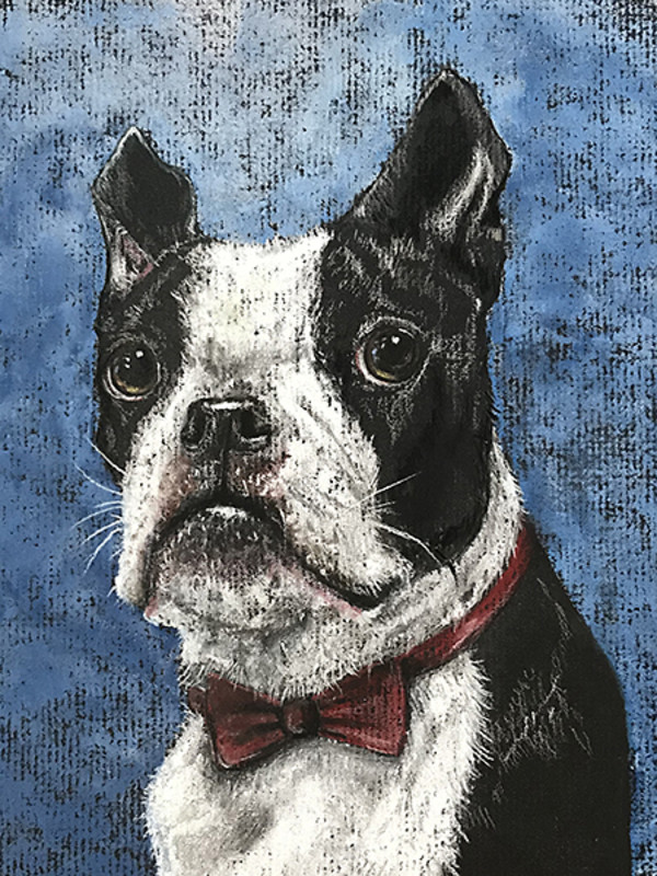 Mr. Handsome, Boston Terrier by Kristen Wickersham