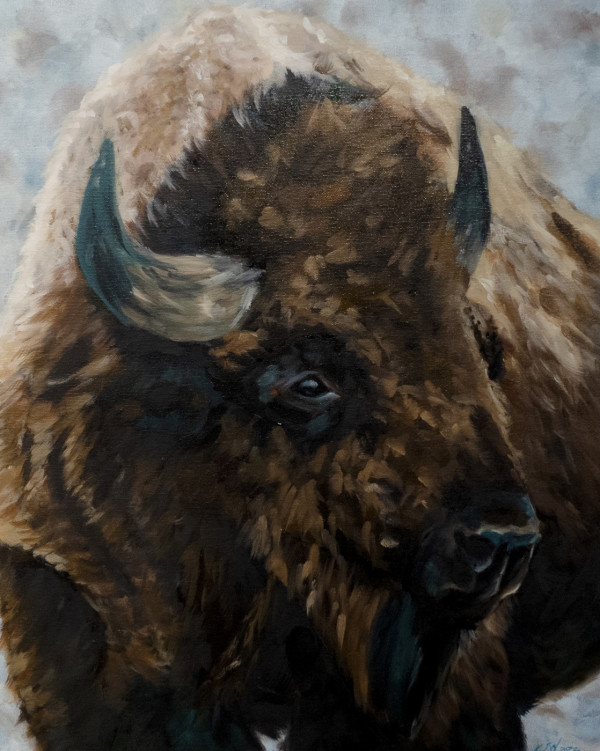 Bison in the Winter by Kristen Wickersham