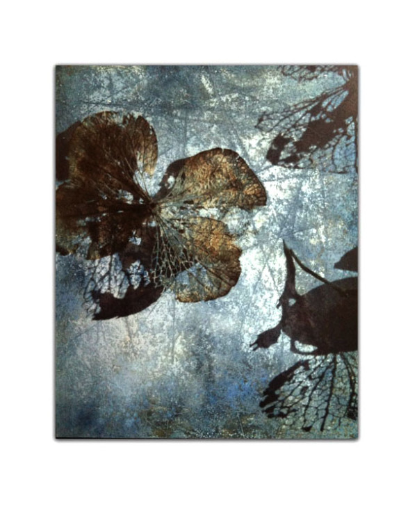 Hydrangea Series 9