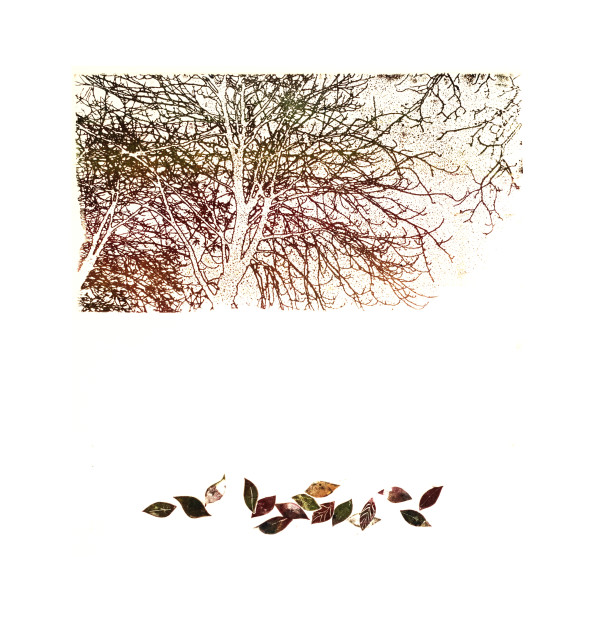 Leaves #5