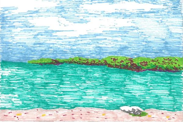 Florida Shore (Framed) by Perry Art Productions "Finding The Beauty"              50% off entire site!