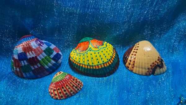 Painted Shells by Perry Art Productions "Finding The Beauty"