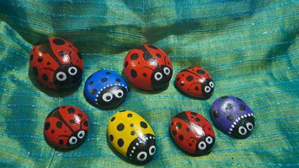 Painted Rock Lady Bugs by Perry Art Productions "Finding The Beauty"
