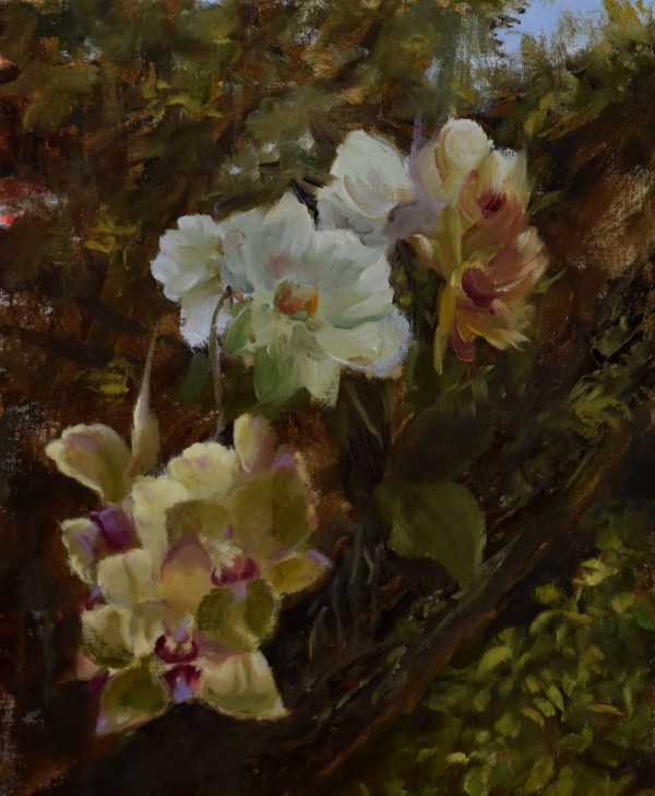 Backlit Flowers by Aida Garrity