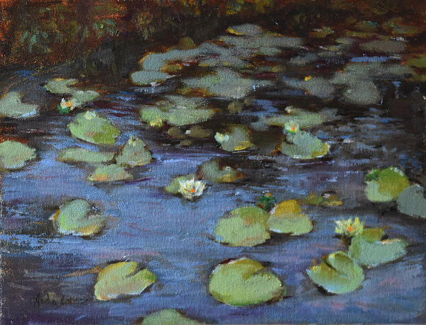 Lilly Pond by Aida Garrity