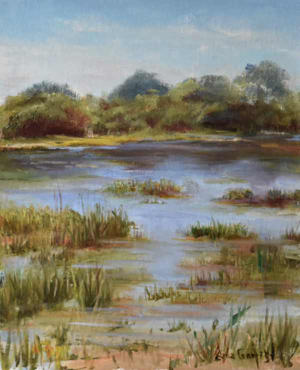 Morning Marshes by Aida Garrity