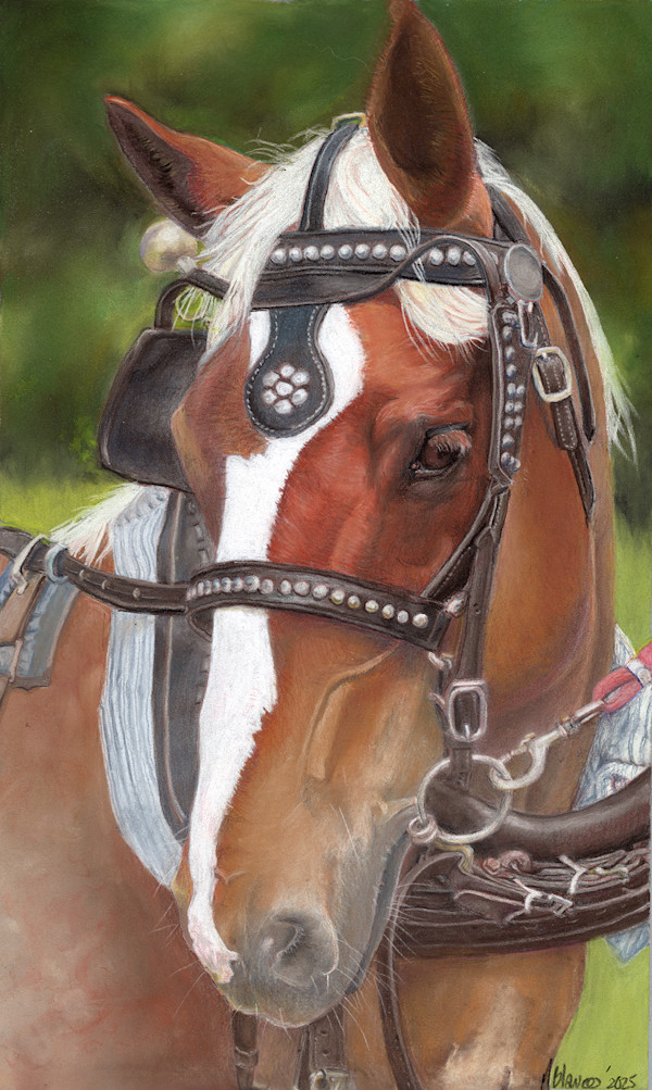 Well...Howdy! by Marcia Blanco