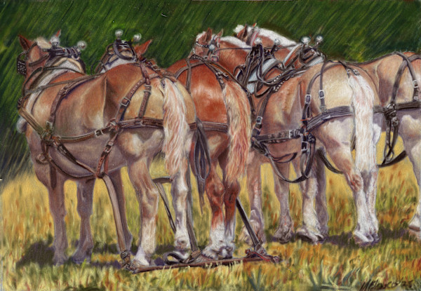 “The Conversation" by Marcia Blanco