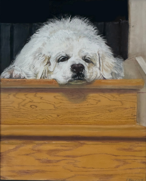 Heddy, Who Knows You Are Leaving Without Her by Marcia Blanco, Image 1.