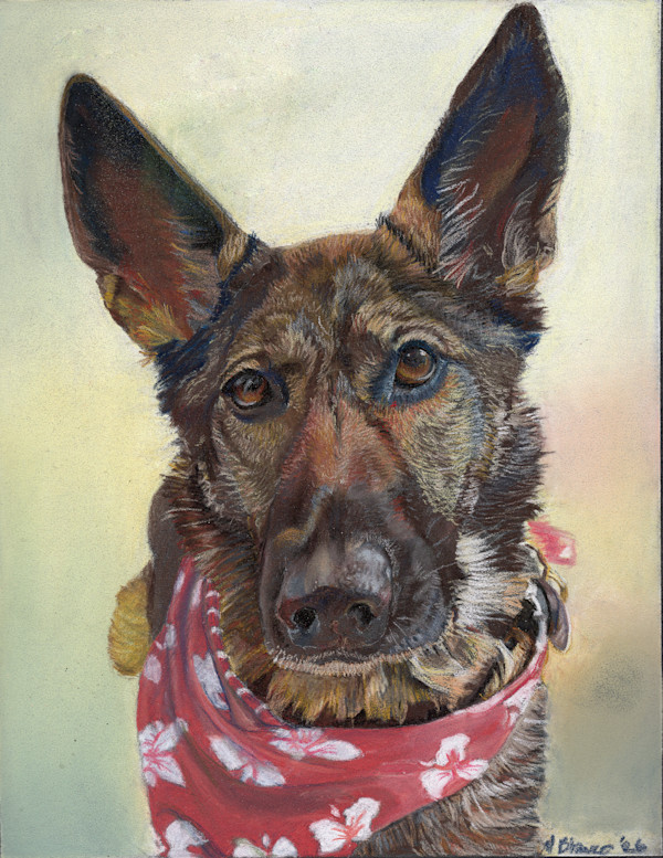 Stevie by Marcia Blanco