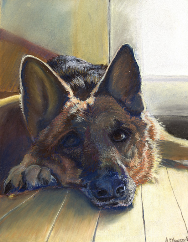 Tsuki in the Morning Light by Marcia Blanco, Image 1.