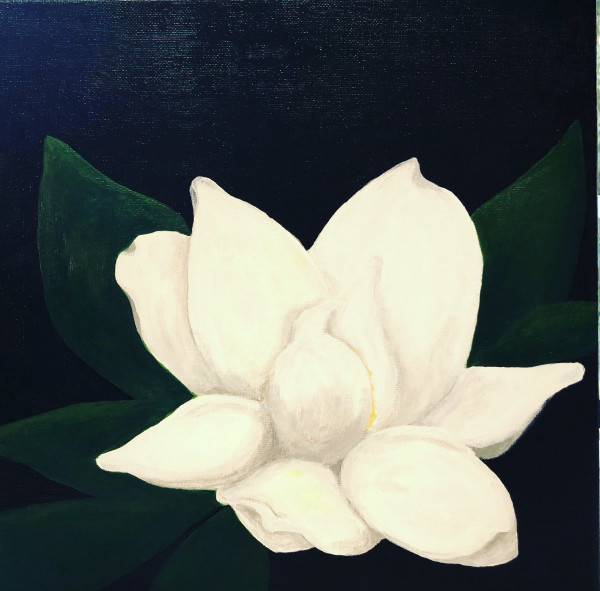 Magnolia Flower by Mariana D Kramer
