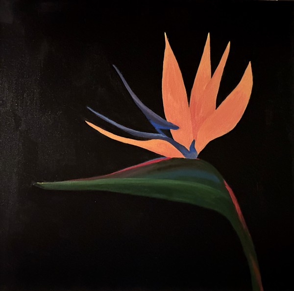 Mexican Flower #2, Bird of Paradise by Mariana D Kramer