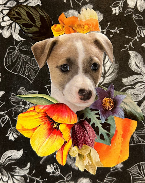 Puppy by Mariana D Kramer