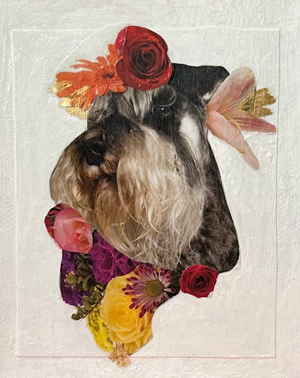 Schnauzer by Mariana D Kramer