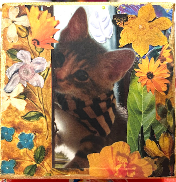 Gatito by Mariana D Kramer