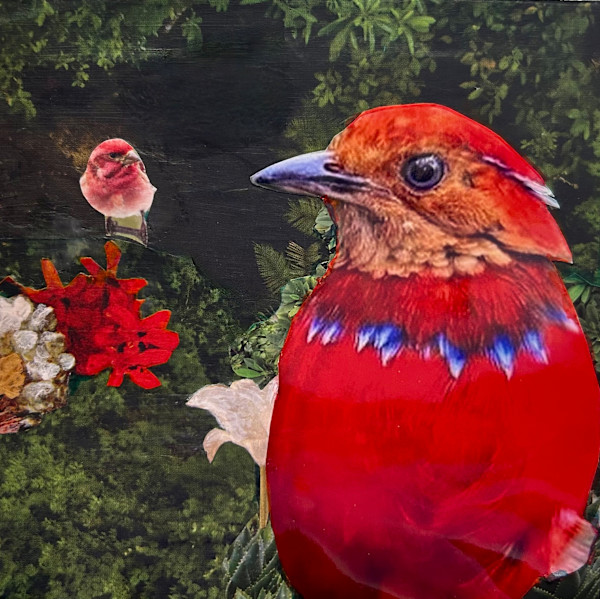 Big Bird Little Bird by Mariana D Kramer