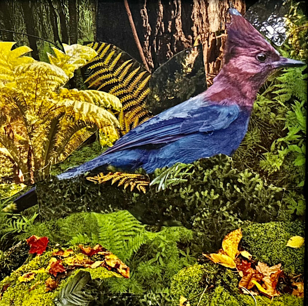 Jungle Fantasy by Mariana D Kramer