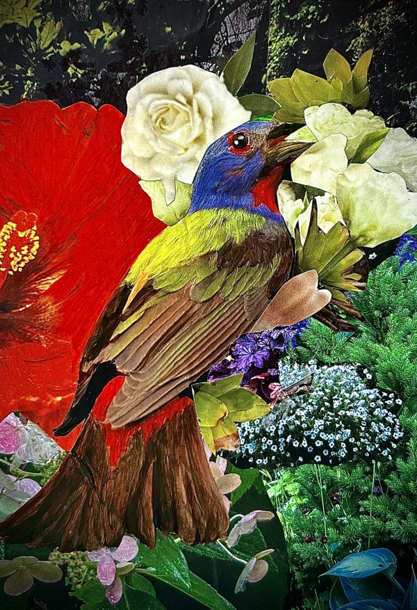 Painted Bunting with Roses by Mariana D Kramer
