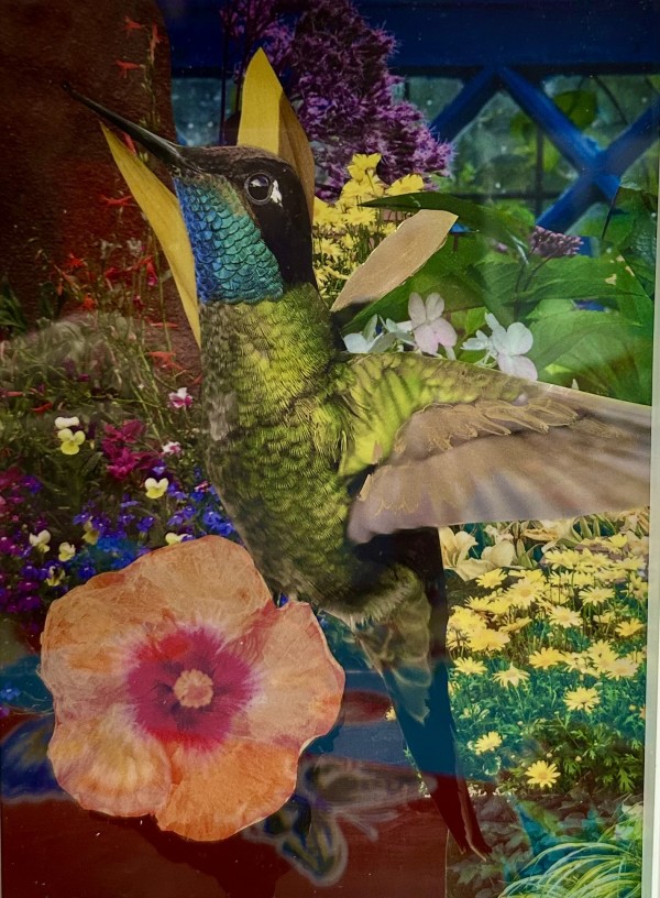 Hibiscus and Hummingbird by Mariana D Kramer
