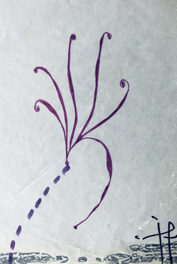 La Corolla di STELLINA