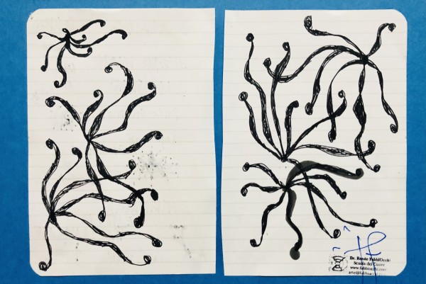 STELLINA in Cielo e in Terra