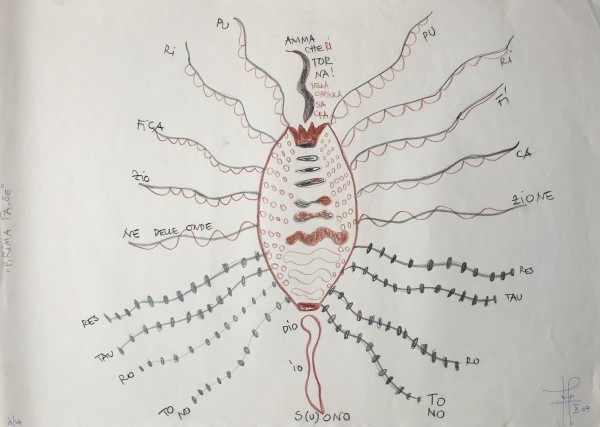 Studi sulla Cellula (3)