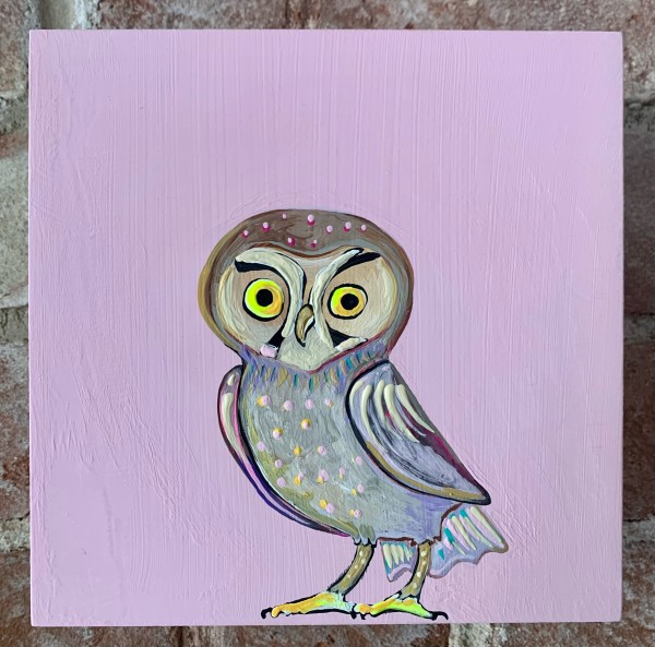 Elf Owl by jo smith