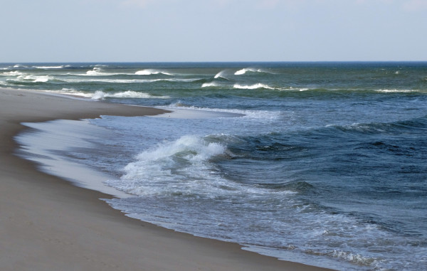 IBSP Shoreline