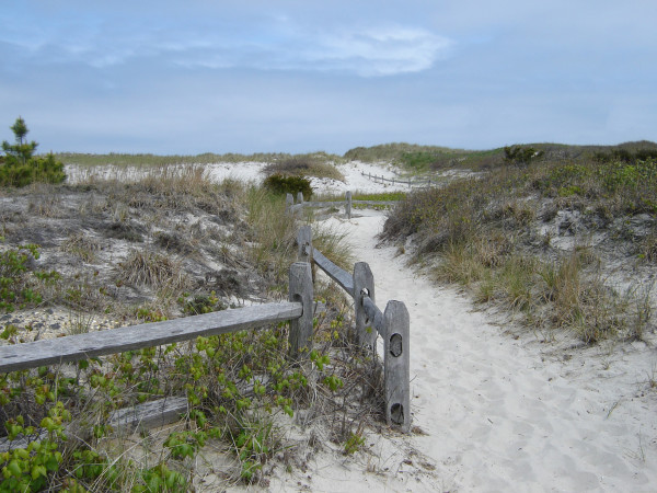 Trail over the Dunes by Mary O'Malley-Joyce
