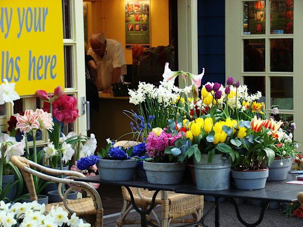 Buy Your Bulbs Here by Mary O'Malley-Joyce