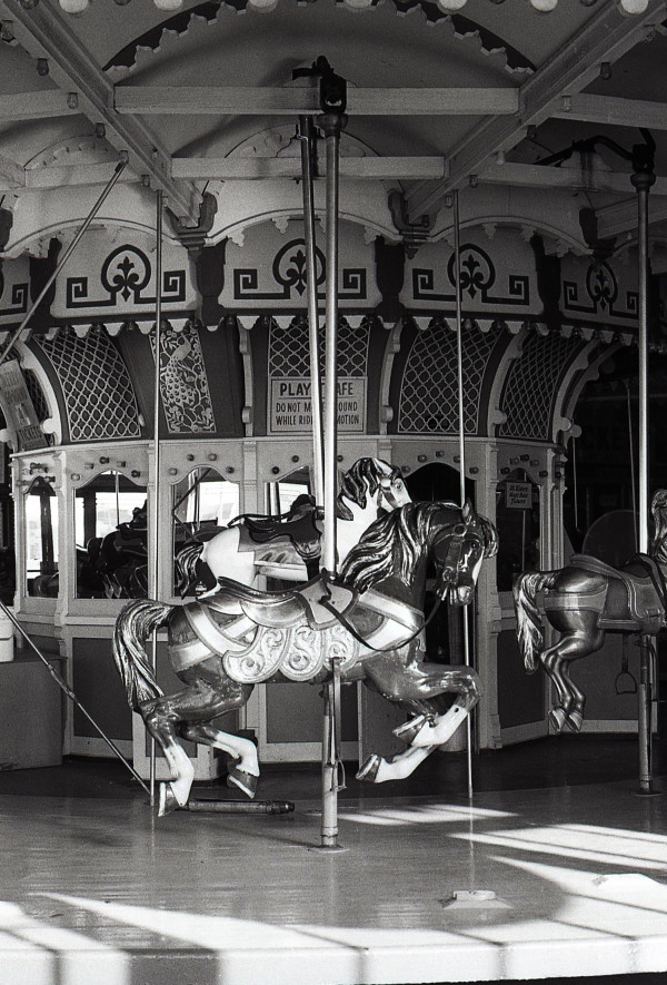 Carousel Horses - Circa 1985
