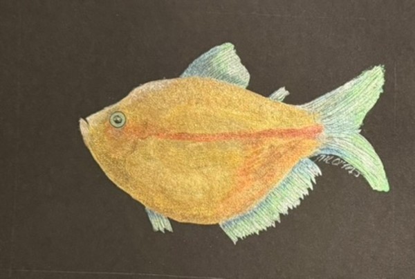 Tropical Fish 4 by Mary O'Malley-Joyce, Image 1.