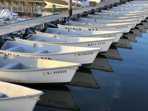 Boats Belmar