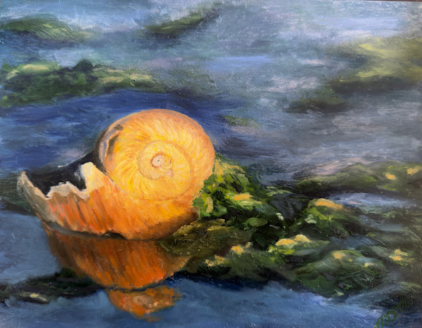 Moon Snail at Golden Hour by Mary O'Malley-Joyce, Image 1.