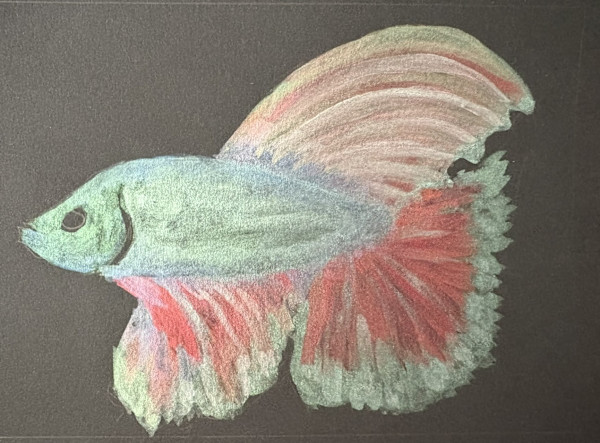 Tropical Fish 3 by Mary O'Malley-Joyce, Image 2.