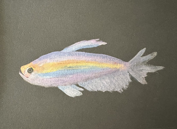 Tropical Fish 4 by Mary O'Malley-Joyce