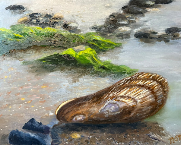 Ribbed Mussel Shell by Mary O'Malley-Joyce
