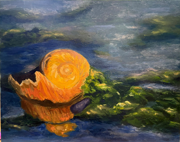 Moon Snail at Golden Hour by Mary O'Malley-Joyce