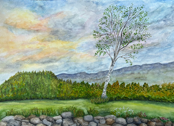 Ellsworth Hill Birch by Mary O'Malley-Joyce