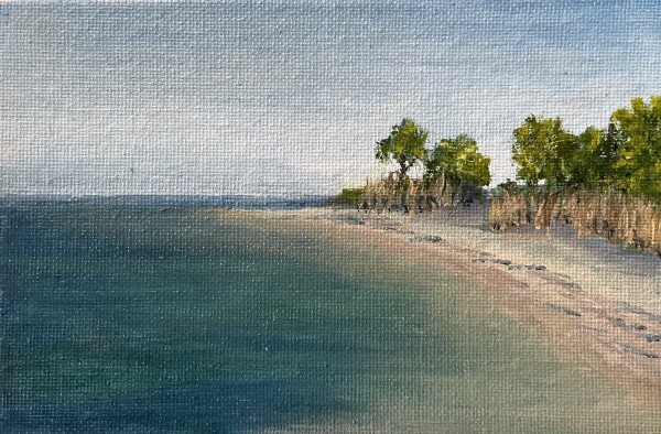 Manasquan Shoreline Sunny Day by Mary O'Malley-Joyce