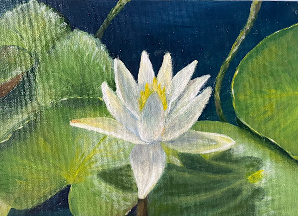 Water Lily by Mary O'Malley-Joyce